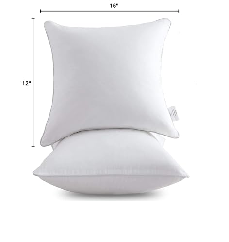 Oubonun 26 x 26 Pillow Inserts - Set of 2 - 100% Cotton Cover - 26 Inch Square - Decorative Pillow Inserts - White - style: 26x26 Inch (Pack of 2)