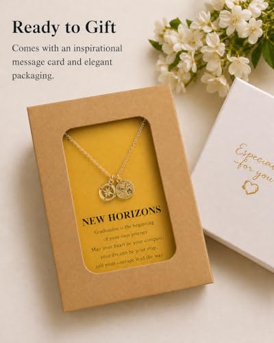 Zealmer Dainty 18K Gold Plated Compass World Map Pendant Necklace Graduation Gift for Friends - style: Compass