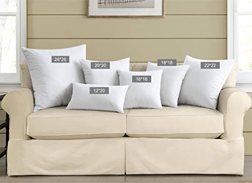 puredown® Feather Down Throw Pillow Inserts 22 x 22 (Pack of 2, White), Big Throw Pillows for Floor, Couch, Bed, Machine Washable - size: 22x22 Inch