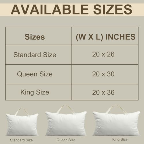 2 Pack 100% Cotton 20"x 30" Canvas Travel Pillow Storage Bag with Handles for Home Travel Beddings Comforters Blankets Saree Linens Organizer Thick Soft Breathable Closet Organizer Bag