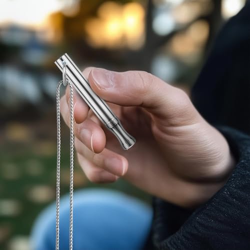 LAMKHOO Breathing Necklace to Quit Smoking and Vaping with Refillable Mint Pods Stop Smoking Aids Fidget Necklace for Anxiety Relief Smokeless Inhaler for Adults - color: silver