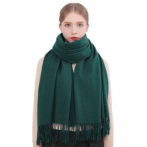 RIIQIICHY Winter Scarfs for Women Pashmina Shawls Wraps for Evening Dresses Large Warm Soft Scarves - color: Green-1