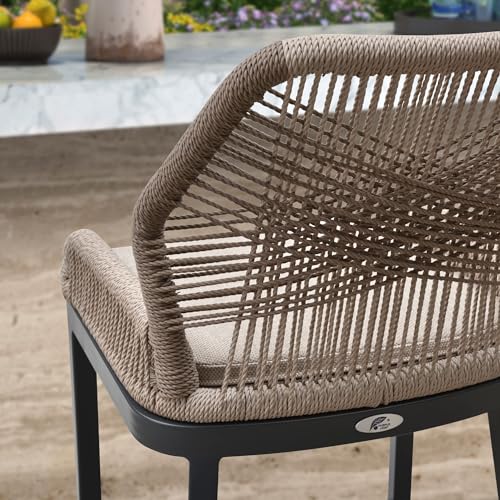 PURPLE LEAF Counter Height Bar Stools Set of 2 Rattan Wicker Outdoor Metal Boho Barstools with Back and Footrest Patio Garden Balcony Pool Bar Chairs - color: Classic/Dark Grey, size: 2pc-24.8"h