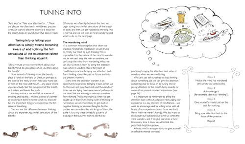 Mindfulness on the Go: Includes 52 cards and a 64-page illustrated book, all in a flip-top box with an easel to display your mindfulness cards