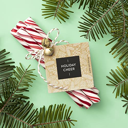 Compendium ThoughtFulls Pop-Open Cards — 3-Pack of Shine, Holiday Cheer, Wish — 90 Pop-Open Cards, Each with a Different Message Inside - color: Shine, Holiday Cheer, Wish