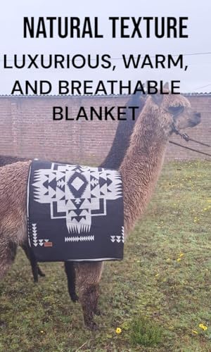 AHUAY Premium Hypoallergenic Alpaca Wool Blanket – Reversible 2-in-1 Andean Geometric Throw, Ultra Soft Warm Lightweight, Handmade in Ecuador (Imbabura Black and White, King) - color: Imbabura Black and White, size: King (100" x 83")