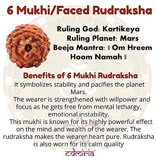 Rudraksha Bracelet for Men & Women's 2 Face, 3 Mukhi, 4 Mukhi, 5 Face, 6 Mukhi, 7 Mukhi, 8 Mukhi, 9 Mukhi, 10 Mukhi, 11 Mukhi Himalayan Rudraksha Beads Wrist Band for Yoga, Meditation, Healing - style: 6 Mukhi - Six Faced