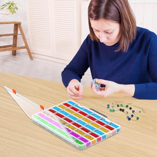 Bluedale 48 Grids Large Plastic Organizer Box with Adjustable Dividers, Beads Storage Containers Compartment Tackle Box Case for Crafts Hobby Small Parts Fishing Seeds Jewelry (Transparent) - size: Transparent-1P