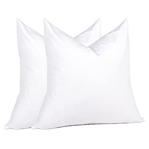 puredown® Natural Feather Down Throw Pillow Inserts 20 x 20 (Set of 2, White), Décor Pillow for Couch, Chairs, Office, Apartments - size: 20x20 Inch
