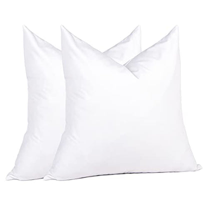 puredown® Feather Down Throw Pillow Inserts 22 x 22 (Pack of 2, White), Big Throw Pillows for Floor, Couch, Bed, Machine Washable - size: 22x22 Inch
