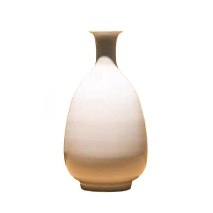 Dining Table Decor Modern Simple Zen Ceramic Vase Living Room Bedroom Entrance Table Decoration Ornaments Kitchen Decor
