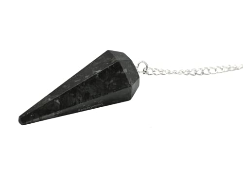 Amazing Gemstone Nuumite Crystal Pendulum for Divination - Certified Dowsing Crystals & Healing Stones for Chakra Balancing & Meditation - Enhance Reiki Spiritual Growth - color: Nuumite