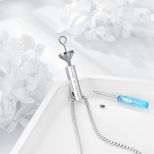 Cremation Urn Necklaces for Ashes Sterling Silver 3D Vertical Bar Memorial Pendant for Loved Ones Keepsake Cremation Jewelry Gifts for Women Men - style: Hummingbird