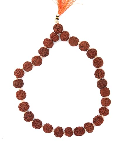 Rudraksha Sumarni Mala Knotted 8 MM, 27+1 Beads Wrist Mala | Rudraksha Prayer Beads Japa Bracelet for Meditation and Spiritual Practice
