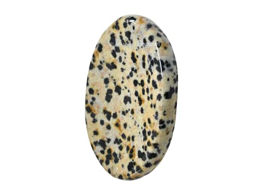Amazing Gemstone Dalmatian Jasper Worry Stone, Healing Crystals - Piedra Crystal Fidget for Gift, Meditation, Calming, Relaxation, Stress Relief - color: Dalmatian Jasper