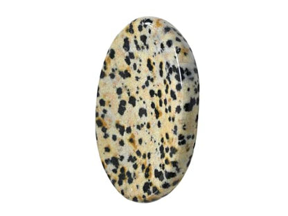 Amazing Gemstone Dalmatian Jasper Worry Stone, Healing Crystals - Piedra Crystal Fidget for Gift, Meditation, Calming, Relaxation, Stress Relief - color: Dalmatian Jasper