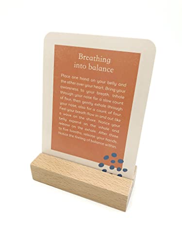 The Little Box of Mindful Meditations: 52 Cards With Simple Steps To Calm Your Mind