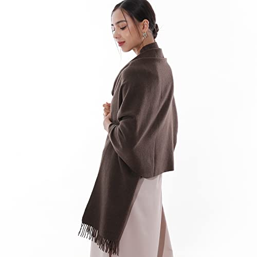 RIIQIICHY Winter Scarfs for Women Pashmina Shawls Wraps for Evening Dresses Large Warm Soft Scarves - color: Coffee