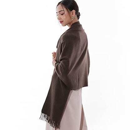 RIIQIICHY Winter Scarfs for Women Pashmina Shawls Wraps for Evening Dresses Large Warm Soft Scarves - color: Coffee