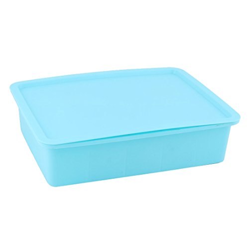 Ruilogod Plastic Home 10 Slots Rectangle Underpants Socks Jewelry Storage Case Container Sky Blue (id: 064 562 1c0 c46 dc1