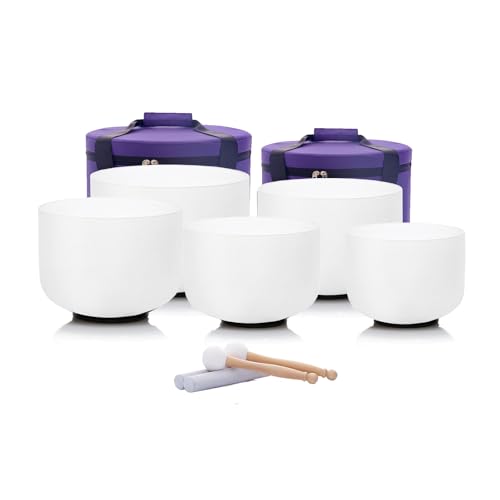 Hye-eun Crystal Singing Bowl Set, 432hz High Pitch C# D# F# G# A# 8-12 Inch 5Pcs Frosted Quartz Sound Bowls for Yoga Meditation Sound Healing with Heavy Duty Carrying Case