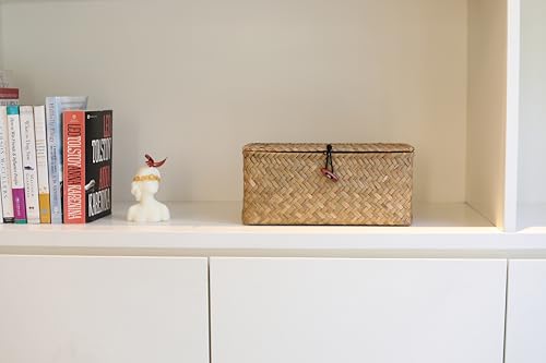 Rectangular Handwoven Seagrass Small Storage Basket with Lid for Shelves and Home Organizer Bins,S (10.2"x5.5"x4.3"H), Natural - size: S (10.2"x5.5"x4.3"H)