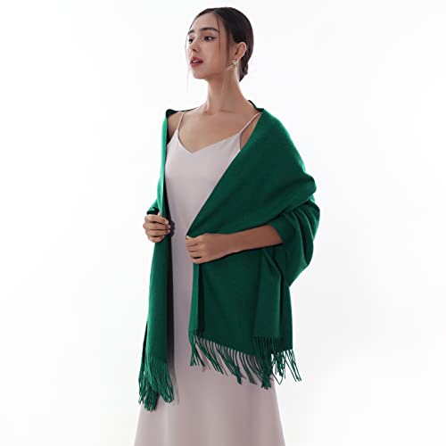 RIIQIICHY Winter Scarfs for Women Pashmina Shawls Wraps for Evening Dresses Large Warm Soft Scarves - color: Green-1
