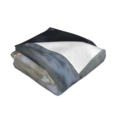 Fishing Rod Prints Throw Blanket (320g Flannel) Anti-Pilling Warm Fuzzy Blankets for Bed Sofa Couch Travel 40x30 Inch - color: Fishing Rod, size: 40x30 Inch