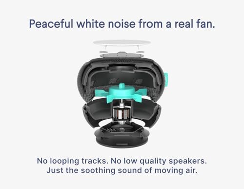 SNOOZ Smart White Noise Machine - Real Fan Inside for Non-Looping Sound, Portable Sleep Aid for Adults, Dogs, Pets, Travel, Home, Bedroom, Sleeping, Office Privacy, Therapy, & Baby Registry - Charcoal - color: Charcoal