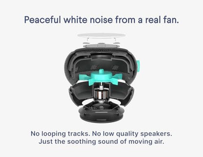 SNOOZ Smart White Noise Machine - Real Fan Inside for Non-Looping Sound, Portable Sleep Aid for Adults, Dogs, Pets, Travel, Home, Bedroom, Sleeping, Office Privacy, Therapy, & Baby Registry - Charcoal - color: Charcoal