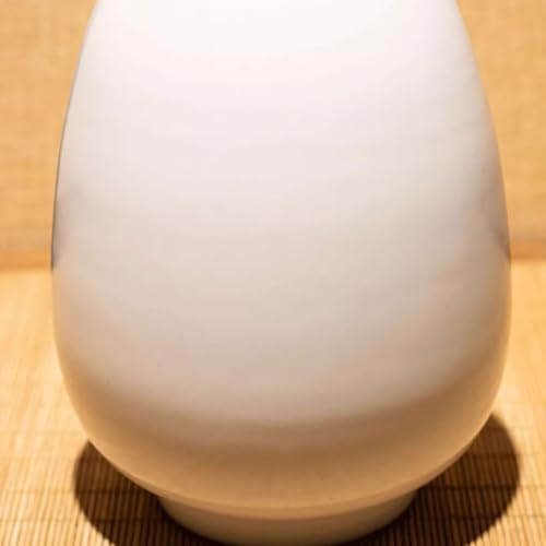 Dining Table Decor Modern Simple Zen Ceramic Vase Living Room Bedroom Entrance Table Decoration Ornaments Kitchen Decor