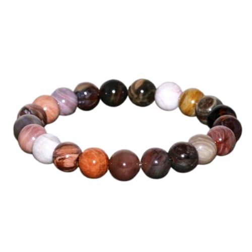 Happy_Shop Natural Silicified Wood 10mm Round Shape Smooth Cut Beads Stretchable Bracelet For Men & Women. Unisex Bracelet For Healing, Meditation, Prosperity, Gift & Luck|HS_Stbr_13995