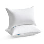 Oubonun 12x20 Lumbar Throw Pillow Inserts 2 Pack, 100% Cotton Breathable Cover Plump Rectangle Square Cushion Inserts White Decorative Pillows for Living Room Bedroom Office - style: 12x20 Inch (Pack of 2)
