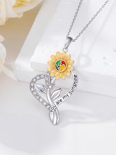 Autism Awareness Necklace for Women 925 Sterling Silver Autism Puzzle Piece Pendant Necklace Inspirational Christmas Gift for Autistic - color: B+Autism