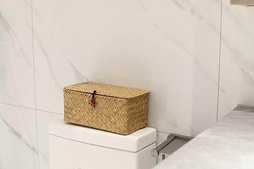 Rectangular Handwoven Seagrass Small Storage Basket with Lid for Shelves and Home Organizer Bins,S (10.2"x5.5"x4.3"H), Natural - size: S (10.2"x5.5"x4.3"H)
