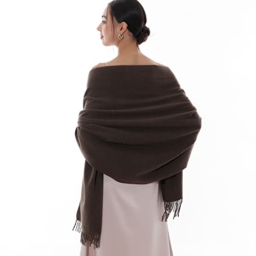 RIIQIICHY Winter Scarfs for Women Pashmina Shawls Wraps for Evening Dresses Large Warm Soft Scarves - color: Coffee