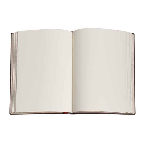 Olive Fairy Midi Unlined Hardcover Journal, 144pg, 120GSM by Paperblanks (Lang's Fairy Books) - size: Midi (180 x 130)