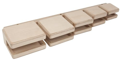 Basic Beat BBTB5 Temple Blocks Set - Quality Sound, Durable Construction, Perfect for Classroom and Band Music