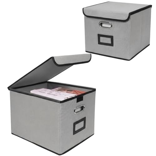 File Storage Box with Lid, 15.55x12.87x10.43 Inches, Foldable Organizer with Handles & Label Slot, for File Storage, Home, Office, and Closet Organization(2 Packs, Grey) - color: Grey, style: Rectangle - 2 Packs