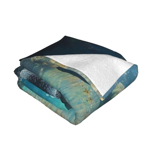 West Indian Sea Animals Prints Throw Blanket (280g Flannel) Anti-Pilling Warm Fuzzy Blankets for Bed Sofa Couch Travel 50x40 Inch - color: West Indian Sea Animals, size: 50x40 Inch