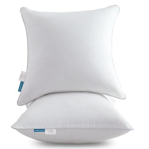 Oubonun 26 x 26 Pillow Inserts - Set of 2 - 100% Cotton Cover - 26 Inch Square - Decorative Pillow Inserts - White - style: 26x26 Inch (Pack of 2)