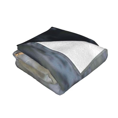 Flannel Throw Blanket 50x40 Inch, Fishing Rod Prints Anti-Pilling Warm Fuzzy Blankets for Bed Sofa Couch Travel - color: Fishing Rod, size: 50x40 Inch