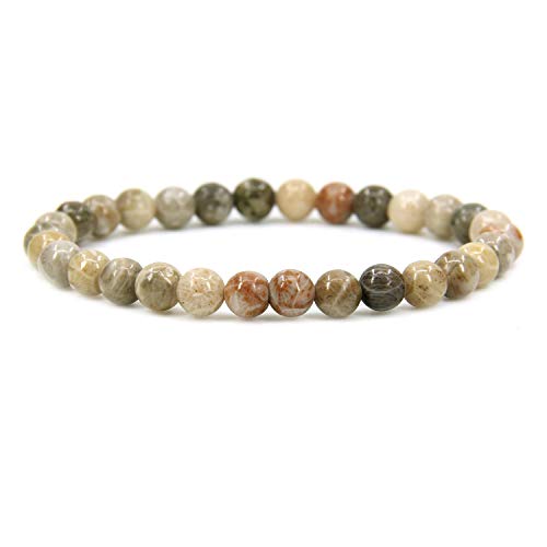 Angelstones Handmade Natural Healing Gemstone 6mm Round Beads Stretch Crystal Bracelet 7 Inch Unisex - color: Coral Fossil