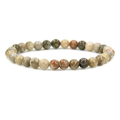 Angelstones Handmade Natural Healing Gemstone 6mm Round Beads Stretch Crystal Bracelet 7 Inch Unisex - color: Coral Fossil