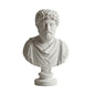 Marcus Aurelius Bust - Elegant Marble Statue for Home Decor and Philosophy Book Collections | Inspirational for Stoicism and Meditations