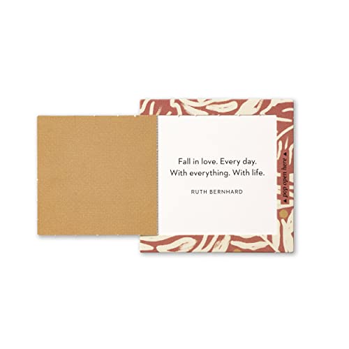 Compendium ThoughtFulls Pop-Open Cards — 4-Pack of Grateful, Live with Intention, Mindfulness, Carpe Diem – 120 Pop-Open Cards, Each with a Different Message Inside - color: Grateful, Intention, Mindfulness, Carpe Diem