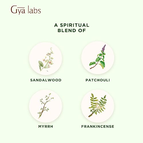 Gya Labs Mindful Meditation Essential Oil Blend - 100% Pure Natural Undiluted Meditation Essential Oil - Grounding & Relaxing (0.34 Fl Oz)