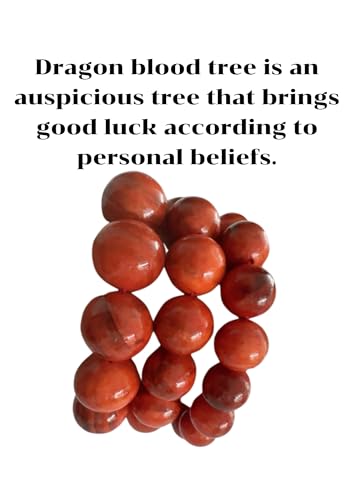 Red Sandalwood Beads Bracelet, Handmade Natural wood for gifts, Rare wood for gifts,Mala Prayer Bracelet, Handmade Dragon Bloodwood Rosary Bracelet 16mm