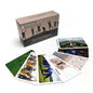 metaFox Coaching Picture Cards | Growing Together | Conversation Cards for Ice Breakers and Team Building Activities | Motivational Postcards for Your Next Coaching and Training Sessions - color: Growing Together