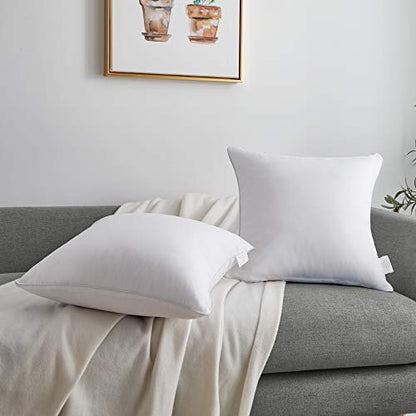 Oubonun 16 x 16 Throw Pillow Inserts Set of 2-100% Cotton Cover - White Couch Bed Decorative Pillow Pair - style: 16x16 Inch (Pack of 2)